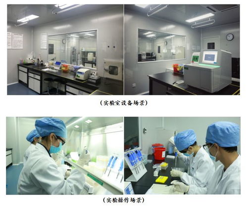 廣州高科技高成長20強(qiáng)企業(yè)風(fēng)采 網(wǎng)絡(luò)技術(shù)研發(fā)與技術(shù)服務(wù)的領(lǐng)航者